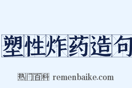 塑性炸药造句是什么意思的图片